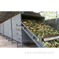 Fruit drying machine Conveyor belt dryer